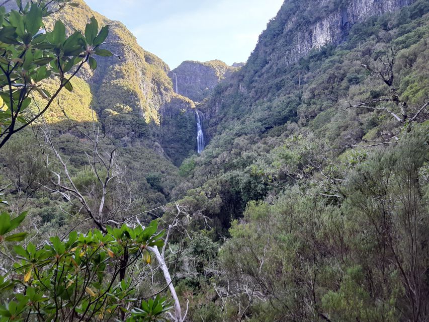 Madeira: Private Walking Tour of Levada das 25 Fontes PR6 - Should You Book This Private Levada das 25 Fontes Tour?
