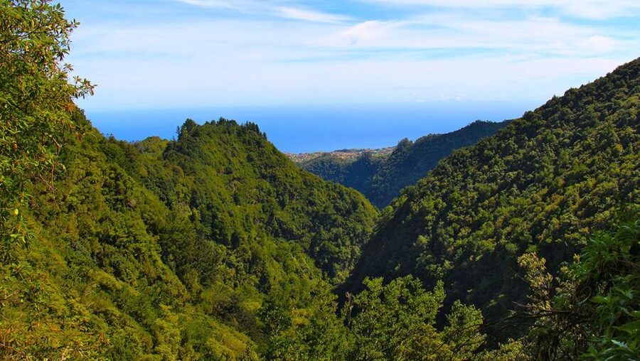 Madeira: Queimadas, Caldeirão Verde and Levada Walk - Key highlights you’ll feel right away