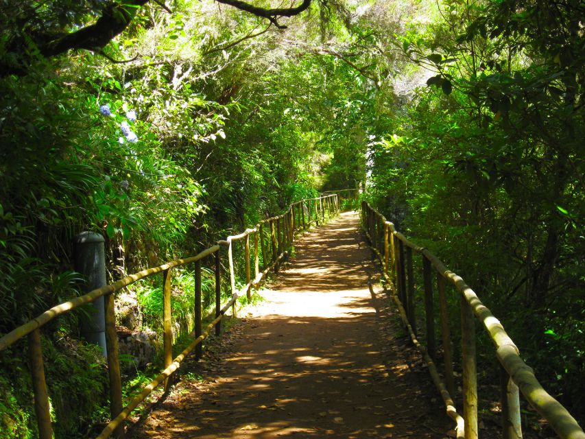 Madeira: Queimadas, Caldeirão Verde and Levada Walk - How long the day feels: 8 hours without the fluff