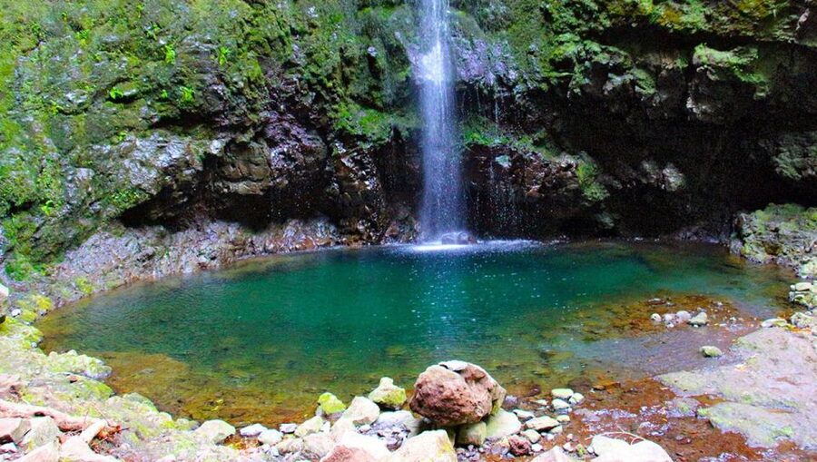 Madeira: Queimadas, Caldeirão Verde and Levada Walk - Why this levada walk on Madeira works so well