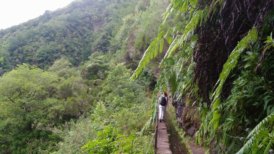 Madeira: Queimadas, Caldeirão Verde and Levada Walk - Caldeirão Verde: why the final waterfall is worth the effort