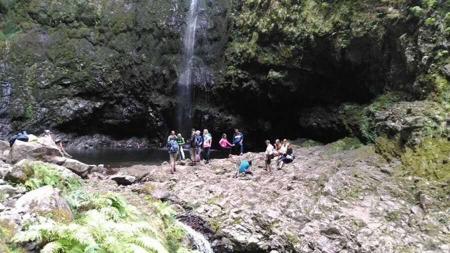 Madeira: Queimadas, Caldeirão Verde and Levada Walk - What the guide adds: languages, narration, and practical context