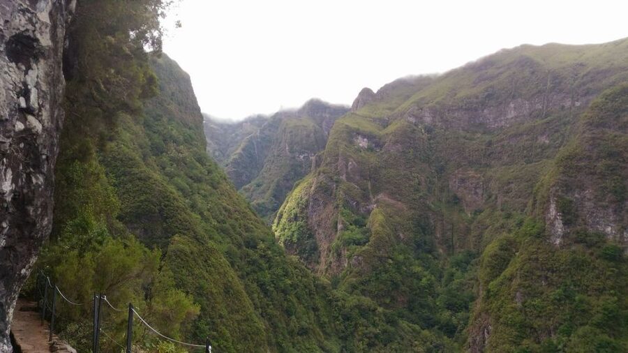 Madeira: Queimadas, Caldeirão Verde and Levada Walk - Pickup, meeting points, and the small details that save time
