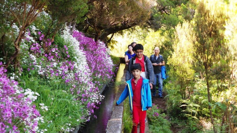 Madeira: Rabaçal 25 Fountains Levada Walk & Cabo Girão - Key points before you go