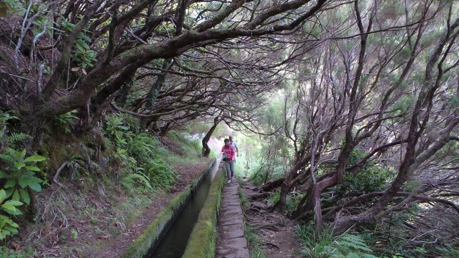 Madeira: Rabaçal 25 Fountains Levada Walk & Cabo Girão - Madalena do Mar scenic drive and the build-up to Cabo Girão