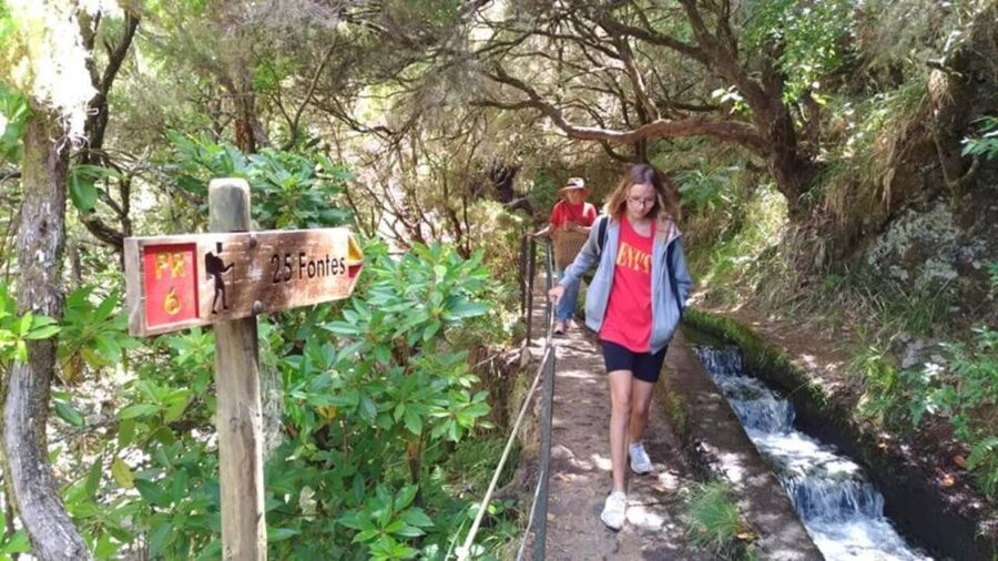 Madeira: Rabaçal, Risco and 25 Fontes Guided Hiking Tour - Rabaçal, Risco, and 25 Fontes, the Madeira water-walk that makes sense