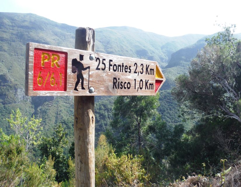 Madeira: Rabaçal, Risco and 25 Fontes Guided Hiking Tour - Paúl da Serra Forestry Station: the cool, forest-first vibe