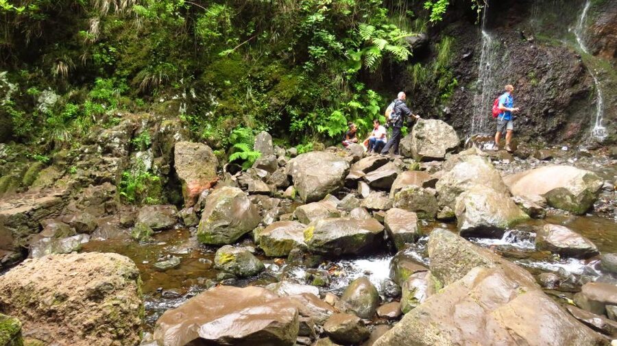 Madeira: Rabaçal, Risco and 25 Fontes Guided Hiking Tour - Levada do Risco: waterfall payoff on a steady trail