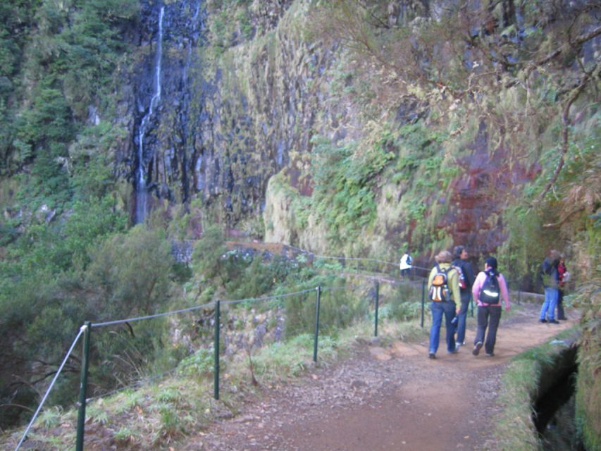 Madeira: Rabaçal, Risco and 25 Fontes Guided Hiking Tour - The Cavaleiro tunnel: weird, practical, and a footwear check