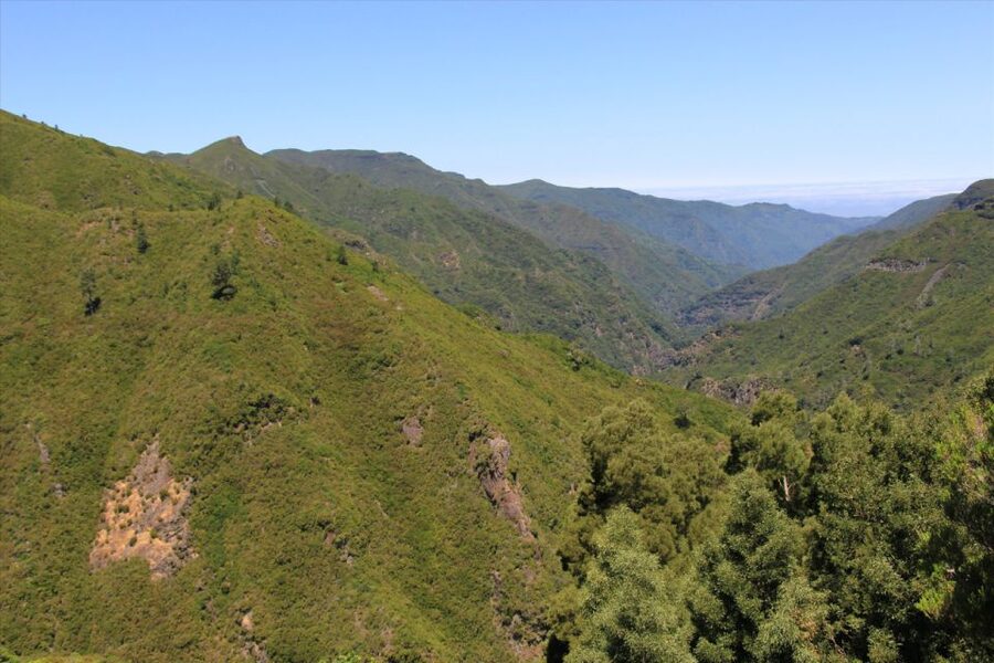 Madeira: Rabaçal, Risco and 25 Fontes Guided Hiking Tour - How the guide changes the experience (Magno, Leonel, Oscar, and friends)