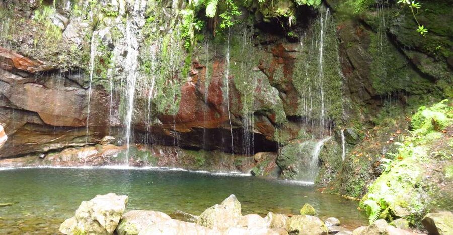 Madeira: Rabaçal, Risco and 25 Fontes Guided Hiking Tour - Getting to the start: pickups, bus time, and why it affects your day