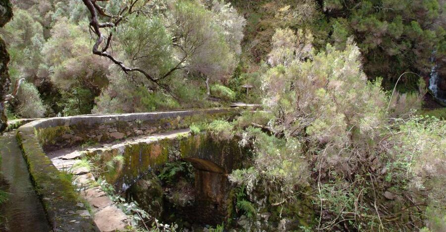 Madeira: Rabaçal Valleys 3-Hour Guided Walk - Rabaçal Valleys levada walk: what 3 hours really means