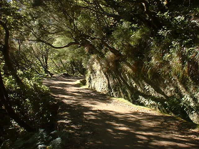 Madeira: Rabaçal Valleys 3-Hour Guided Walk - Pace, group feel, and whether the moderate rating is honest