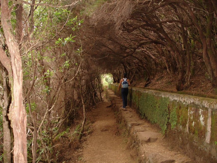 Madeira: Rabaçal Valleys 3-Hour Guided Walk - Starting times, pickup areas, and how to plan your day