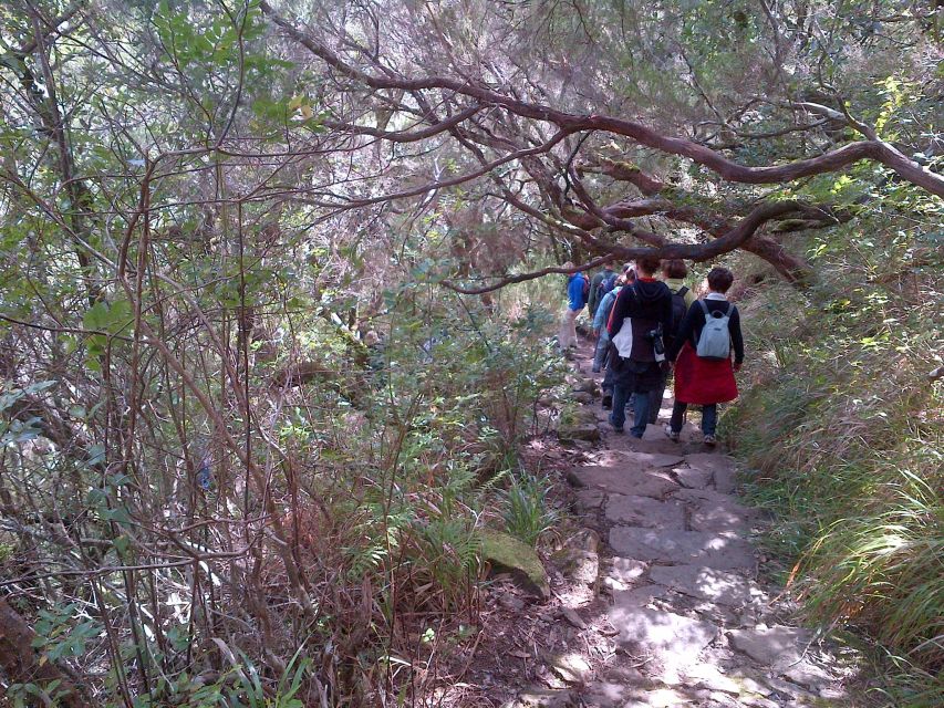 Madeira: Rabaçal Valleys 3-Hour Guided Walk - What’s included, what’s not, and the food rule you should know