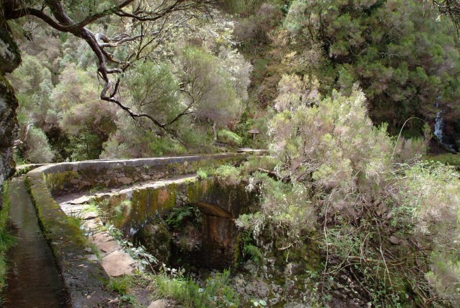 Madeira: Rabaçal Valleys 3-Hour Guided Walk - Price and value: is $48 a fair deal?