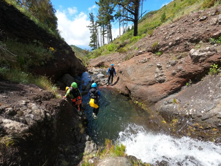 Madeira : Ribeira das Cales Canyoning (Level 1) - Who should book this, and who should skip Level 1