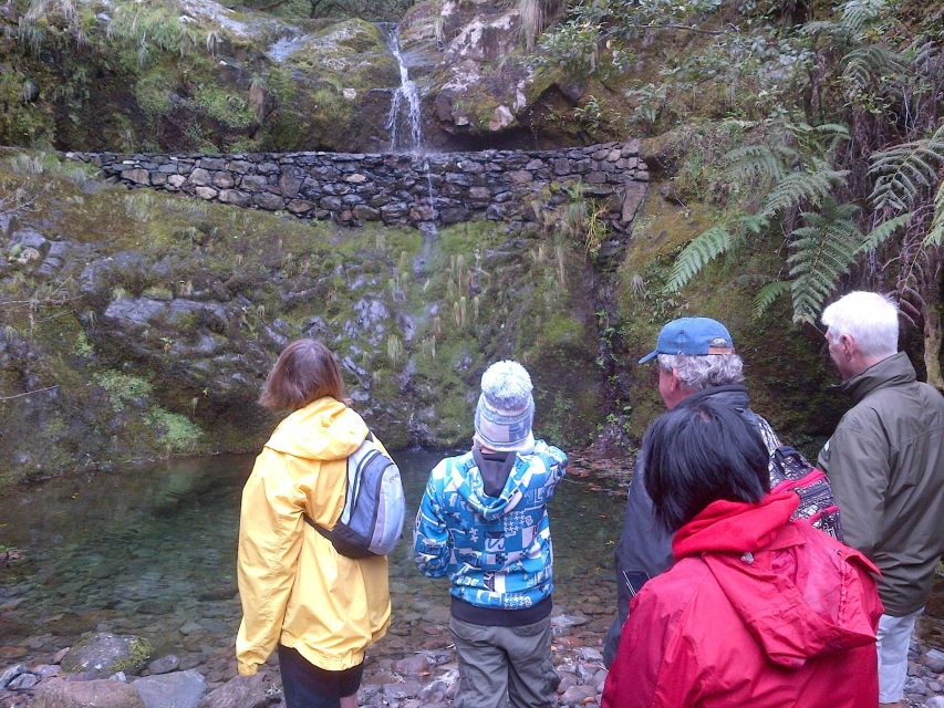 Madeira: Ribeiro Frio to Portela 4-Hour Guided Walk - Madeira’s Ribeiro Frio to Portela walk: why this levada day works