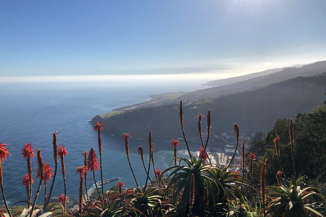 Madeira Safari - East of the island - Faial and Porto da Cruz: Traditional Stops Before the Eastern Finale