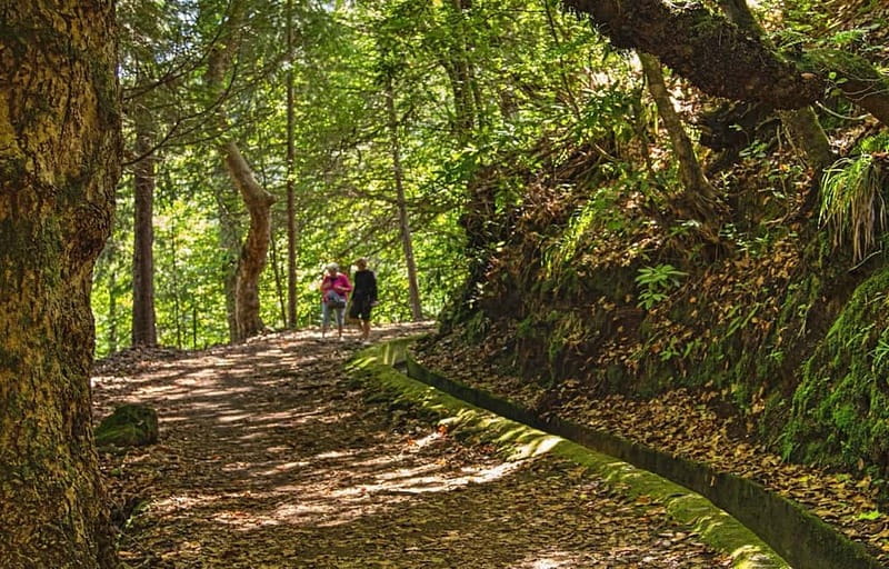 Madeira: Santana Jeep Safari and Balções Levada Walk - What Makes the Guides Matter So Much