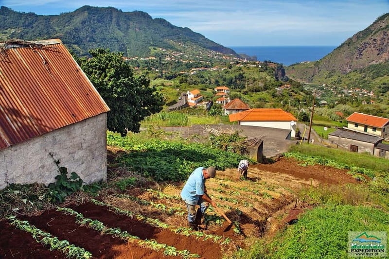 Madeira: Santana Jeep Safari and Balções Levada Walk - Faial Photo Stop: Quick Credits to the Scenery
