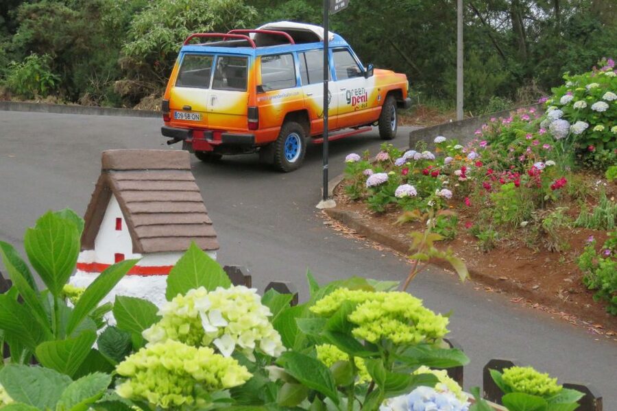 Madeira : Santana & Peaks full day tour by Open 4x4 - Up Toward Riveiro Frio: Forest Tracks, Elevation, and the Laurisilva Feeling