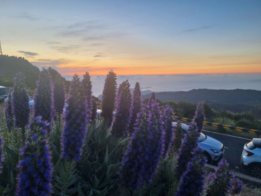 Madeira : Santana, Pico Arieiro, walk full day 4x4 Jeep tour - The Value of a Private Group (Up to 4) and 4x4 Transport
