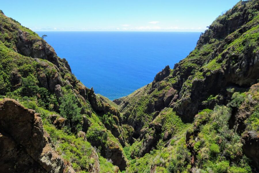 Madeira : Santo de Serra Local Farmers' Market half day trip - What to bring for a smooth market plus viewpoints day