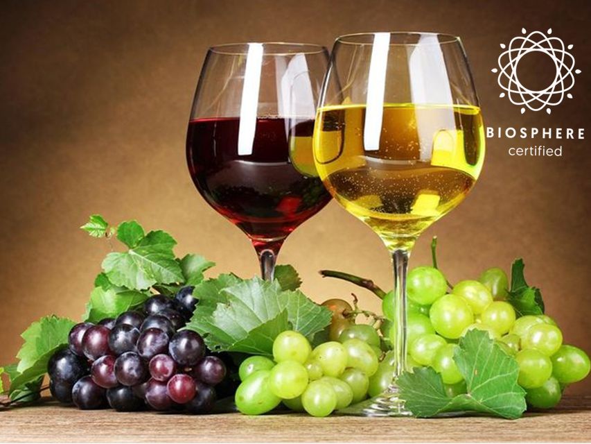 Madeira: Signature Wine Tasting, Skywalk & Nature Expedition - What to bring, and who should book this Madeira signature day
