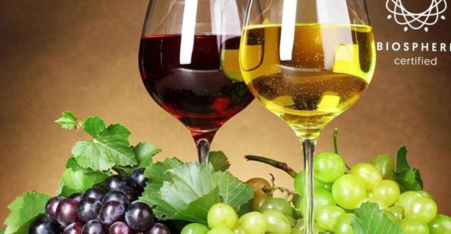 Madeira: Signature Wine Tasting, Skywalk & Nature Expedition - Quinta do Barbusano vineyards: Madeira wine culture, explained with taste
