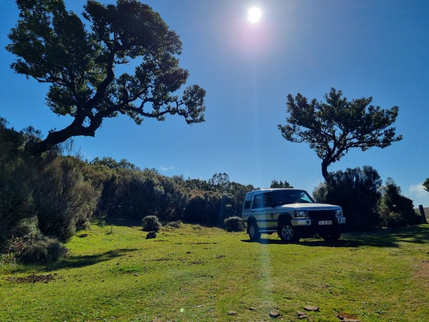 Madeira : SkyWalk, Fanal, Natural Pools 4x4 Jeep Tour - Who This Tour Suits Best, and Who Might Want a Different Style