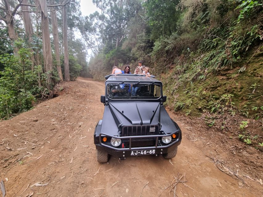 Madeira : SkyWalk, Fanal, Natural Pools 4x4 Jeep Tour - Câmara de Lobos to Cabo Girão: Fishing-Village Stops and the SkyWalk Area