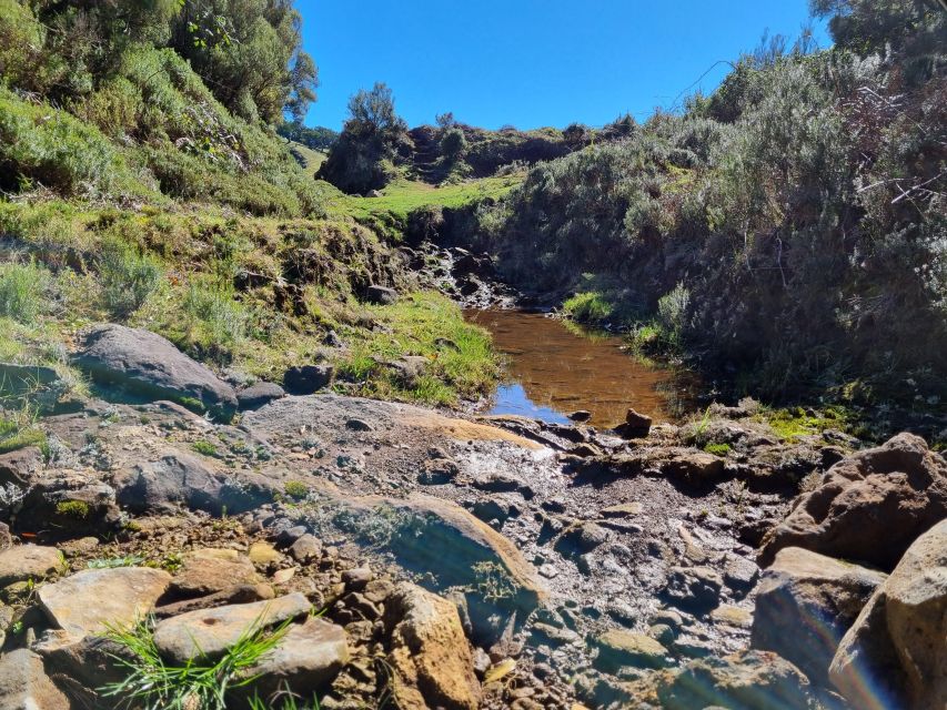 Madeira : SkyWalk, Fanal, Natural Pools 4x4 Jeep Tour - Campanário, Ponta do Sol, and the Road to Fanal
