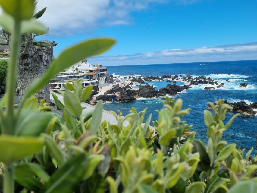 Madeira : SkyWalk, Fanal, Natural Pools 4x4 Jeep Tour - Fanal Forest and the Century-Old Trees Walk, Plus a Pond Moment