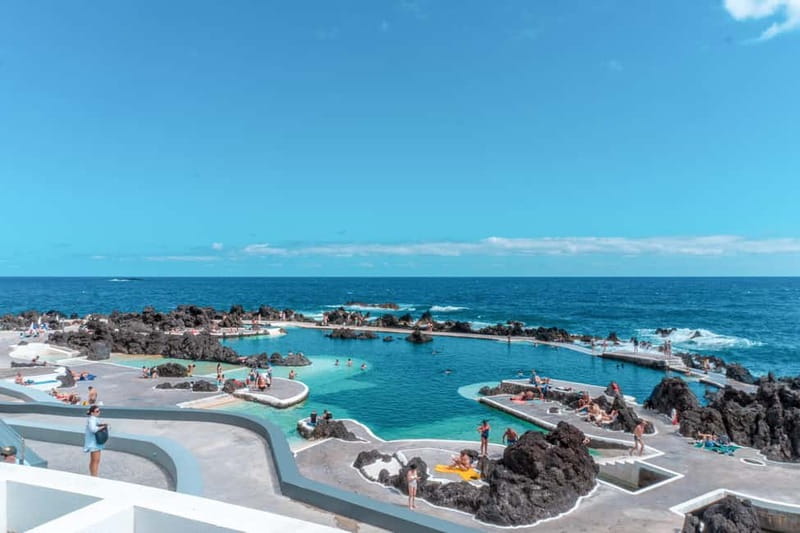 Madeira: Skywalk, Porto Moniz, Seixal, and Fanal 4WD Tour - Fanal Forest and Laurissilva: Mist, Cows, and Off-Road Adrenaline