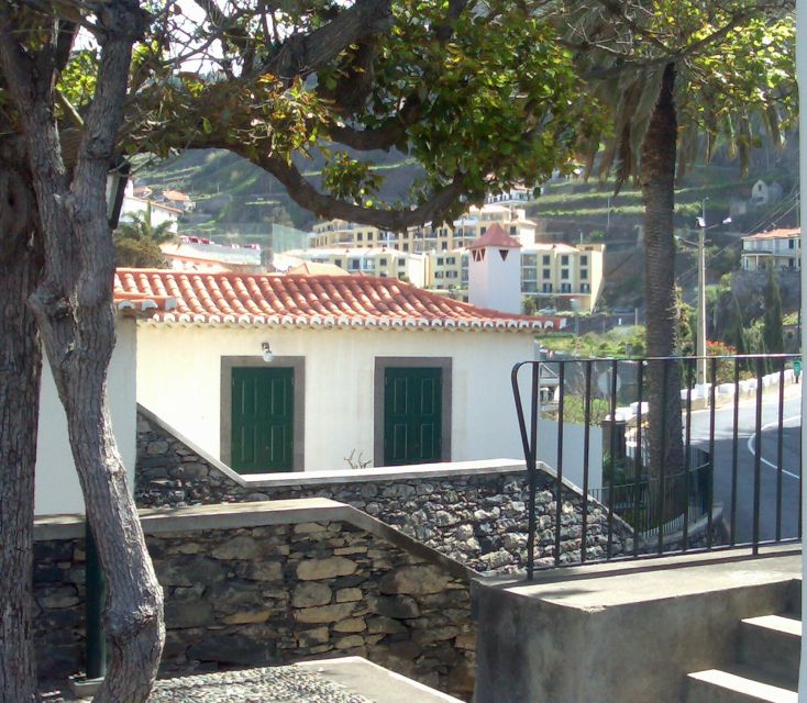Madeira South West: Half Day Private Tour - From pickup to Câmara de Lobos: coastal Madeira in a short hit