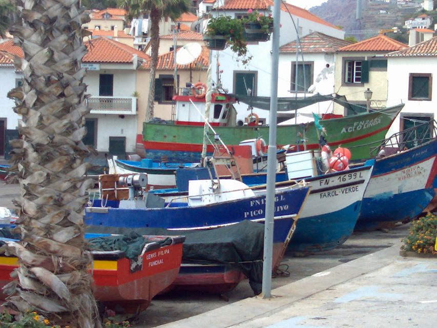 Madeira South West: Half Day Private Tour - Comfort, rules, and what to expect when you get in the van