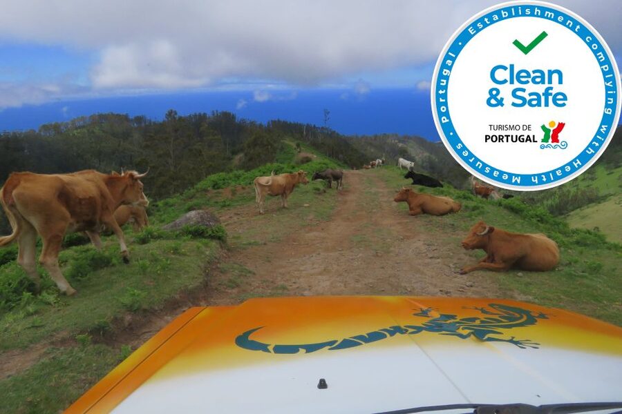 Madeira : Southwest coast, Run & Anjo´s Waterfall 4x4 Tour - Scenic Drive Time in Madeira: Safety Briefing and Orientation