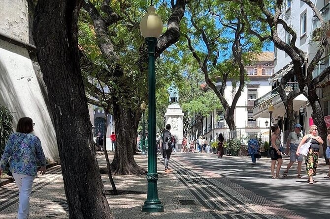 Madeira Special City Tuk Tuk Tour and Viewpoints by MadTuk - Quinta das Cruzes, the Cathedral, and quick culture stops