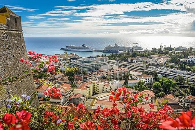 Madeira Special City Tuk Tuk Tour and Viewpoints by MadTuk - Price and value: what $66.09 buys in 1.5 to 2 hours