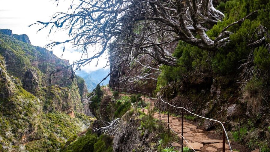 Madeira Stairway to Heaven to Larano Hike Mountain to Sea - Guides and organization: what people praise most