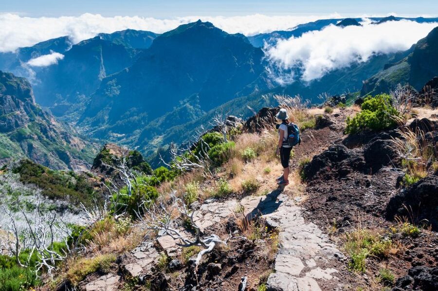 Madeira Stairway to Heaven to Larano Hike Mountain to Sea - Price and value: what you’re really paying for at $88