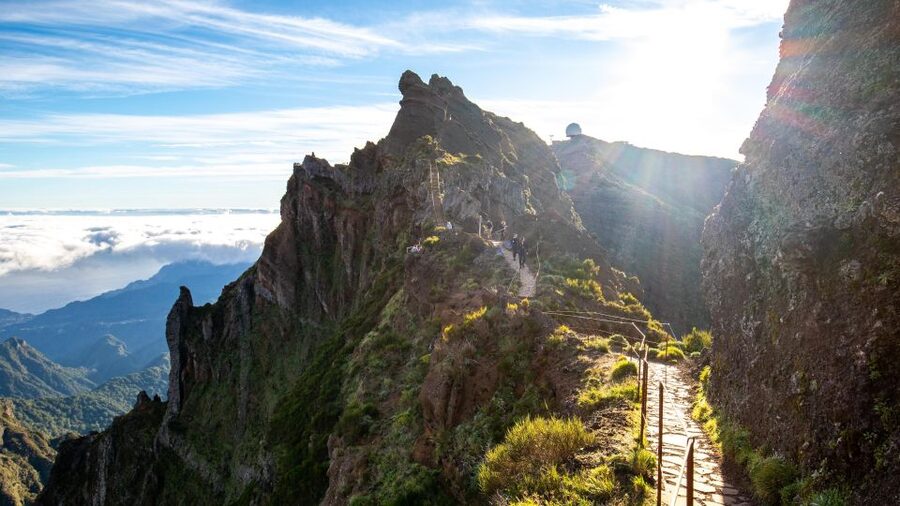 Madeira Stairway to Heaven to Larano Hike Mountain to Sea - Transport and pacing: van legs, but not a day spent in traffic