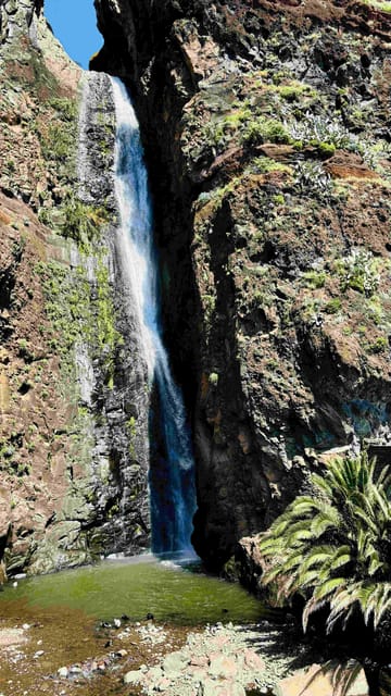 Madeira: Sunny South Side - Cabo Girão, Waterfalls, C. Lobos - What You Really Get for Around $88