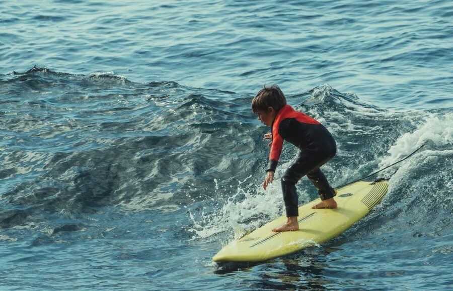 Madeira : Surfing Experience for all - Gear check: wetsuit, softboard, leash, fins, wax, rash guard
