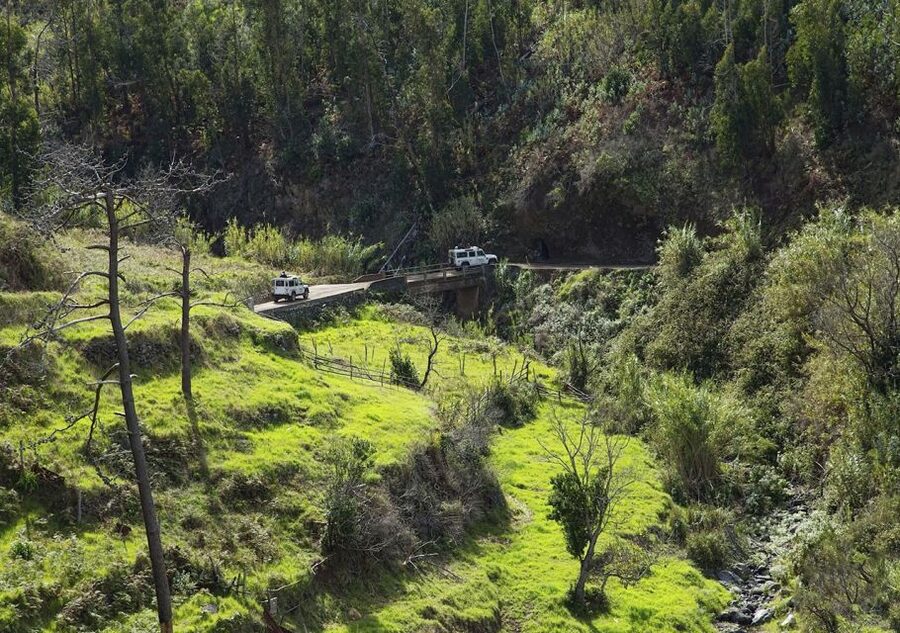 Madeira: The Best of South Jeep Tour - Stop 1: Ponta do Sol photo stop, a gentle warm-up