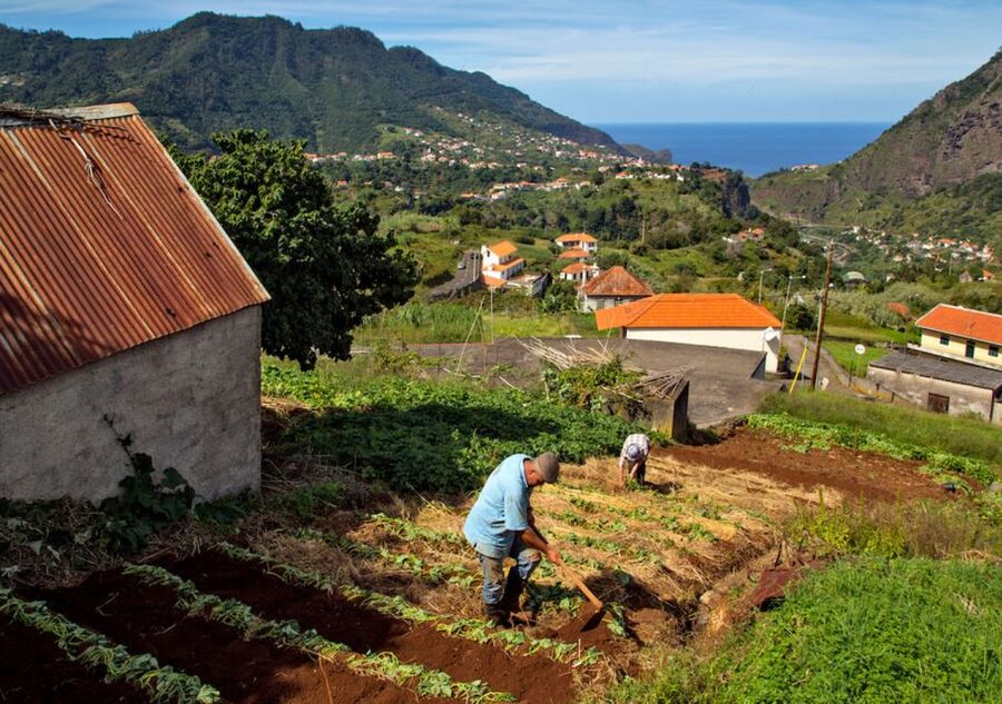 Madeira: The Best of South Jeep Tour - Stop 4: Paul do Mar lunch stop plus seaside time