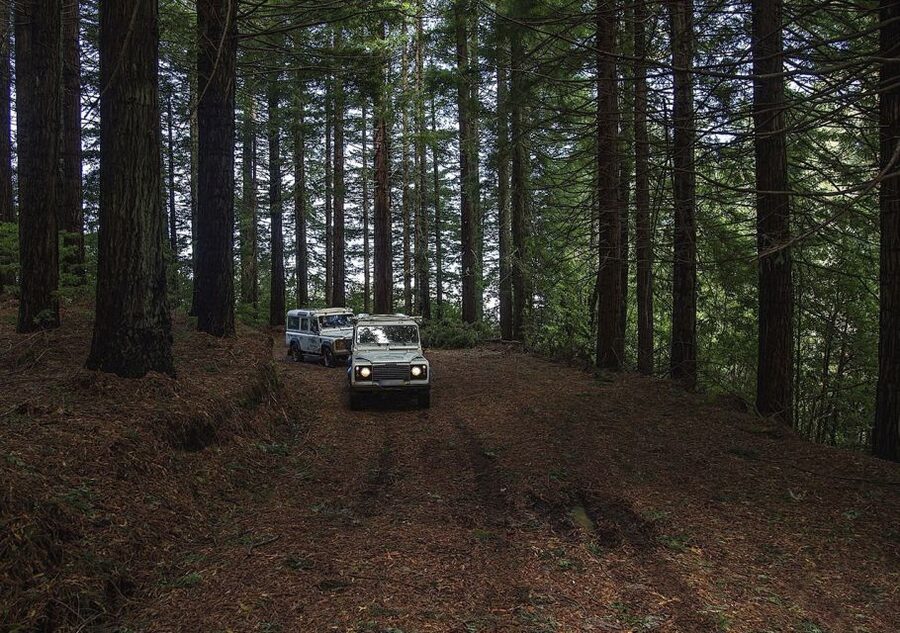 Madeira: The Enchanting North - Guide Quality and Small Group Feel: Getting More Than Just a Drive
