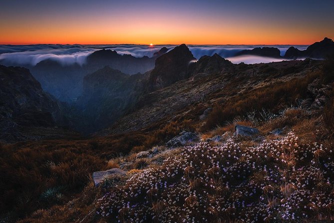 Madeira Top Sunrise - Getting to the Trail: Pickup from Funchal and Caniço