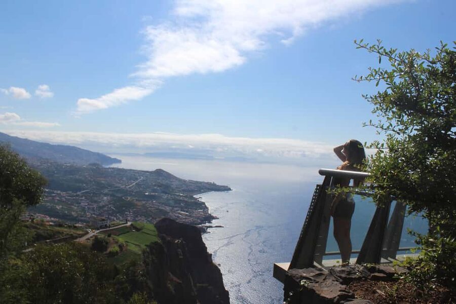 Madeira - Vineyard Tour Wine Tasting - Included - How this Madeira wine tour earns its spot on your list